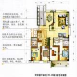 天轩座01单元（10-23层）住宅平面图