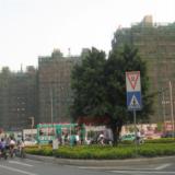 2008年5月20日金山大景城项目实景 